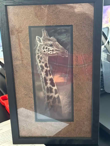 Photo of free Giraffe framed pic (Cedar knolls, NJ) #1