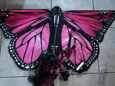 Photo of free Butterfly Kite (CM1 Broomfield) #1