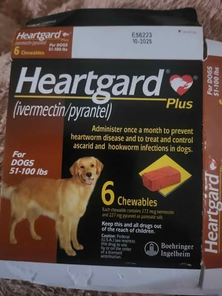 Photo of Heartgard Plus & NexGard for dogs (Beacon) #1