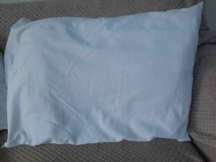 Photo of free Polyester pillow (Southbourne BH6) #1