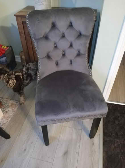 Photo of free Dark grey chair (Saint Andrew Auckland DL14) #1