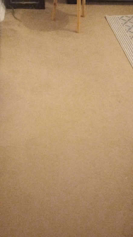 Photo of free carpet. Some marks. 11 x 8.5 (pirton SG5) #1