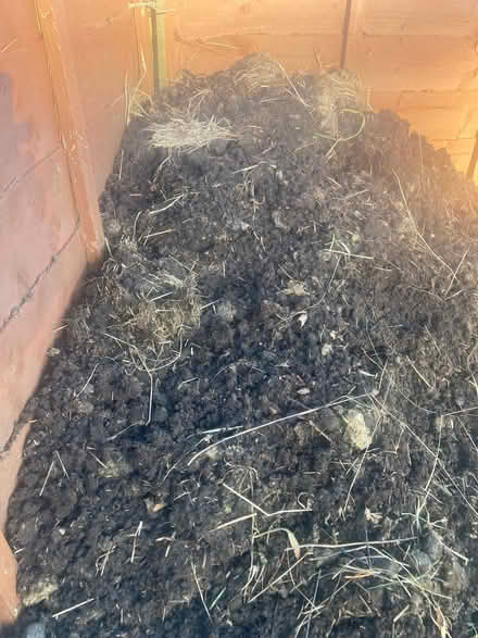 Photo of free Organic horse manure (Howey LD1) #2