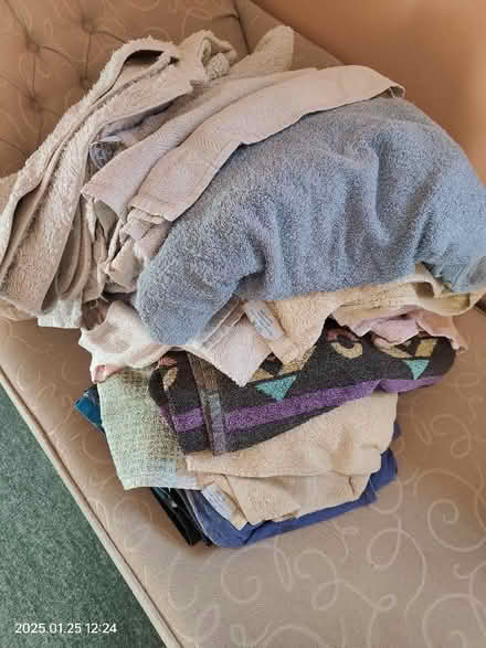 Photo of free Towels (Bordon GU35) #1