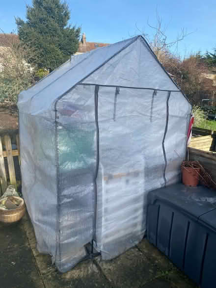 Photo of free Greenhouse (Midsomer norton) #1