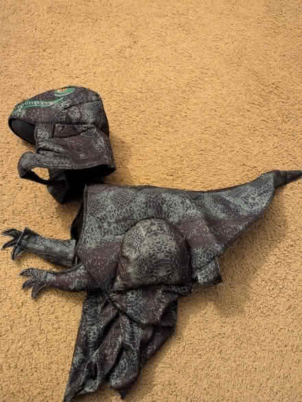 Photo of free Dog dinosaur costume (Grandview Heights) #2