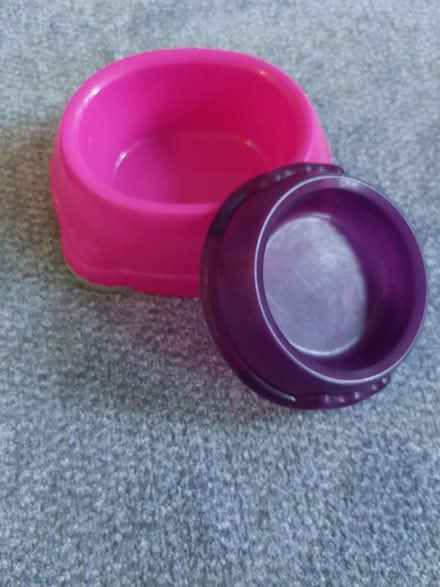 Photo of free Plastic cat feeding bowls (Humphrey's End GL6) #1