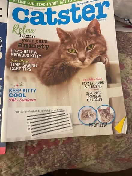 Photo of free Cat Magazines (Catster/Modern Cat) (W 12 Mile Road &Telegraph) #2