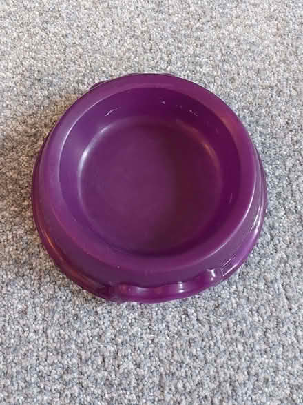 Photo of free Plastic cat feeding bowls (Humphrey's End GL6) #2