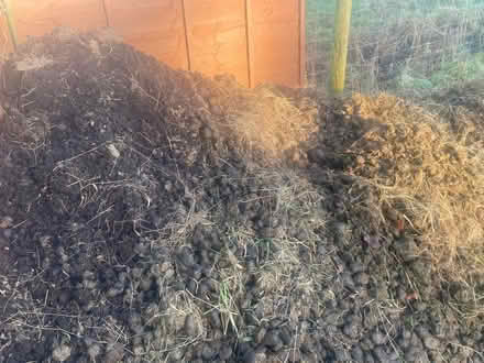 Photo of free Organic horse manure (Howey LD1) #1