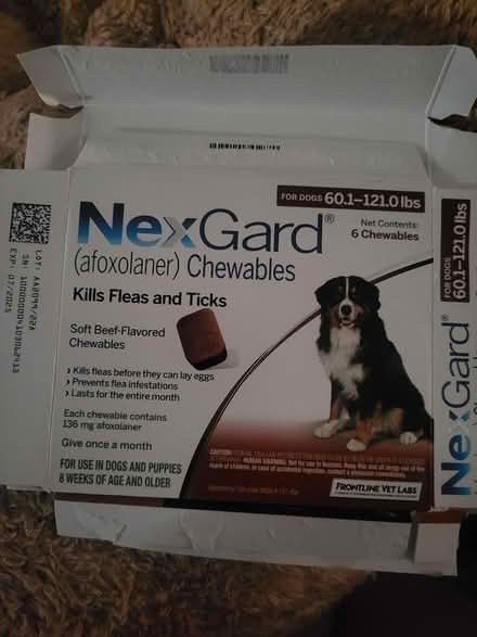 Photo of Heartgard Plus & NexGard for dogs (Beacon) #2