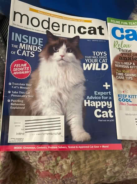 Photo of free Cat Magazines (Catster/Modern Cat) (W 12 Mile Road &Telegraph) #1