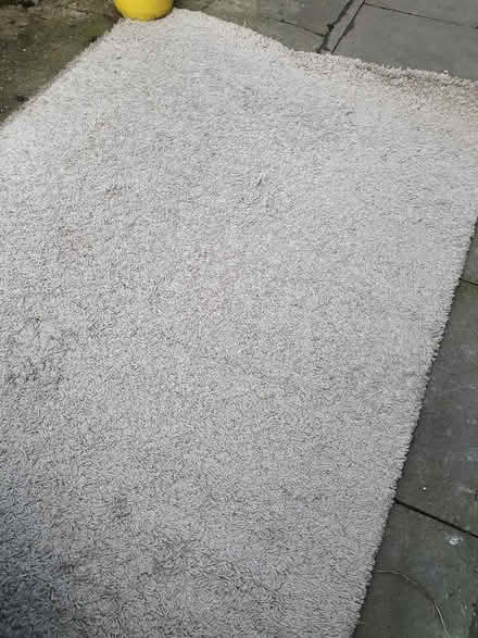 Photo of free Grey Ikea rug (Enfield EN2) #1