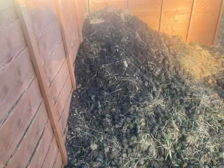 Photo of free Organic horse manure (Howey LD1) #3