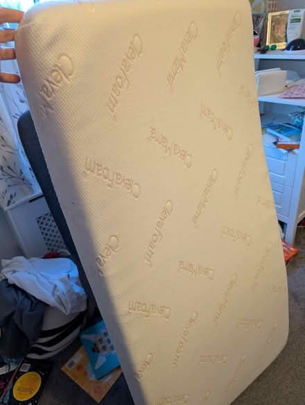 Photo of free Cot bed mattress and protector (Chelmsford CM1) #1