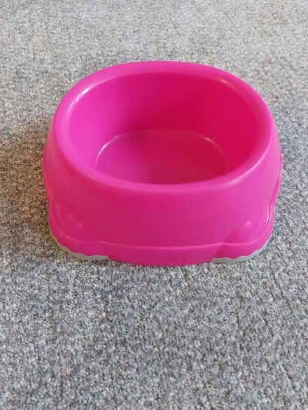 Photo of free Plastic cat feeding bowls (Humphrey's End GL6) #4