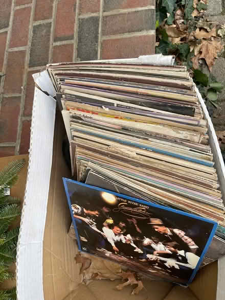 Photo of free albums (Acton) #3