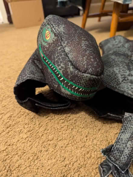 Photo of free Dog dinosaur costume (Grandview Heights) #1