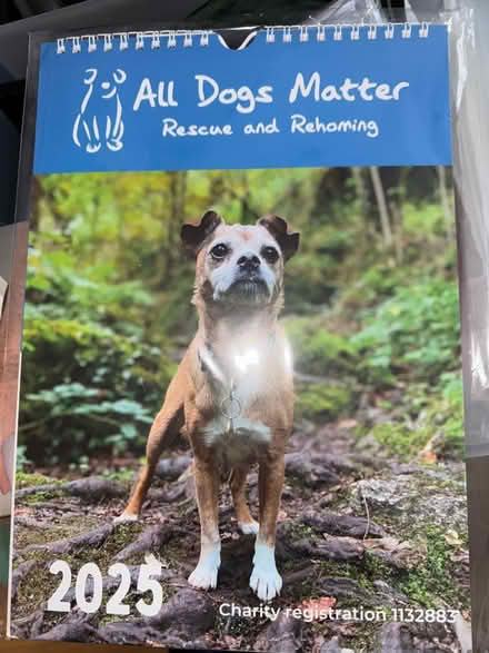 Photo of free Calendar all dogs matter (Billericay CM11) #1