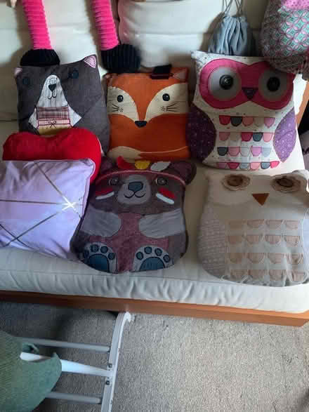 Photo of free Bundle of animal cushions (Carrick Knowe EH12) #1