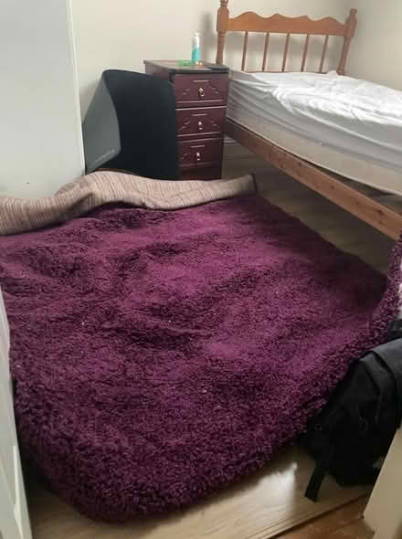 Photo of free purple rug (rathmines) #1