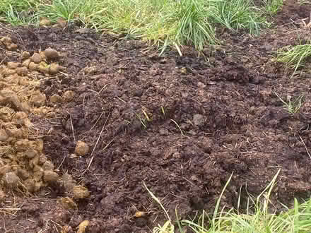 Photo of free Horse manure (SK7 bramhall) #1