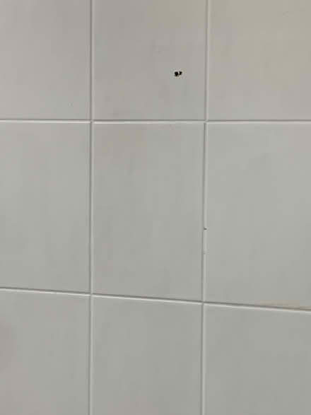 Photo of a few white ceramic tiles (Ringwood BH24) #1