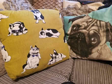 Photo of free Dog Themed Pillows X 2 (BR1 bickley) #1