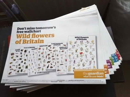 Photo of free Set of wildlife wallcharts (Southwater) #1