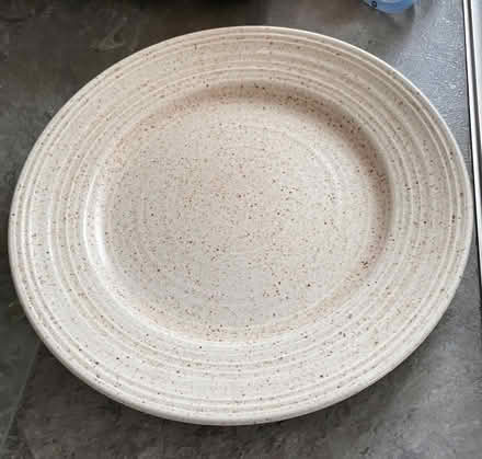 Photo of free Single dinner plate 24cm diameter (Lindfield RH16) #1