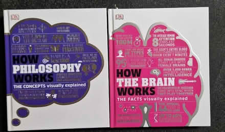 Photo of free Books - philosophy and how the brain works (Alvaston DE24) #1