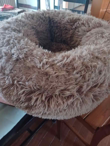 Photo of free Almost new cat bed (Bridalcreek/chadwyck) #1