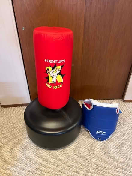 Photo of free Kid Kick punching bag (10 mile and orchard) #1