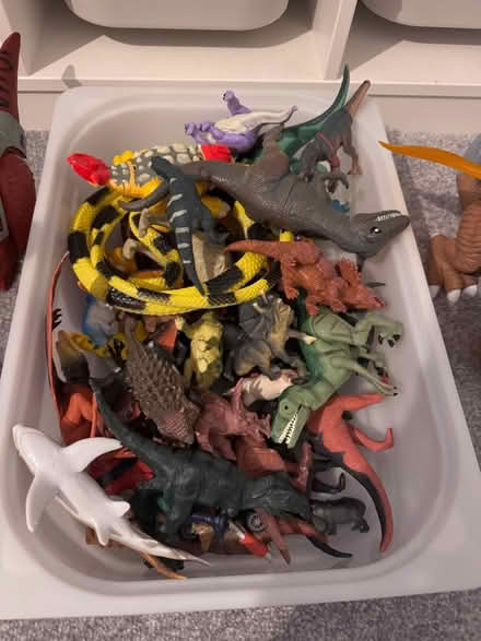 Photo of free Large amount of toy dinosaurs (Staines TW18) #2