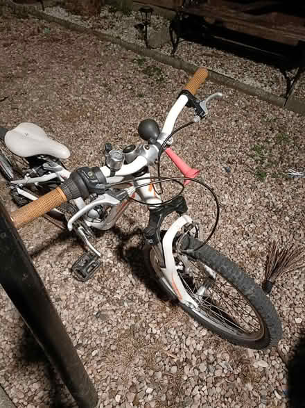 Photo of free Girls bike (Broxburn) #4