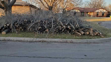 Photo of free Oak wood logs (East end of Aspen Dr Denton) #1