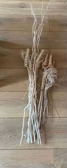 Photo of free Dried Twigs & Cones (CT11) #1