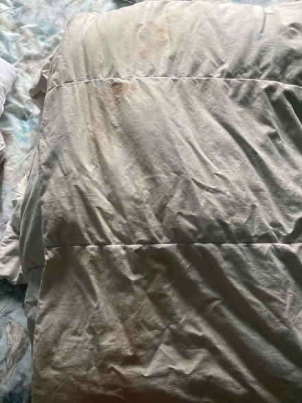 Photo of free Single duvet (Heysham LA3) #1