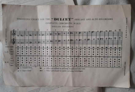 Photo of free Descant Recorder Instructions (Newtown, Exeter) #3