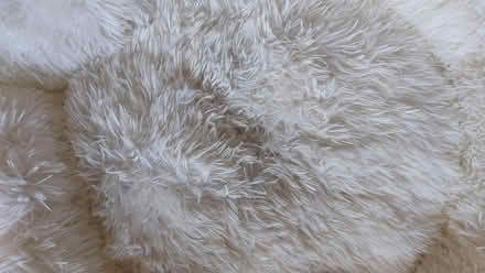 Photo of free Dog / Cat bed 75cm Round Fluffy (Kilsyth) #3