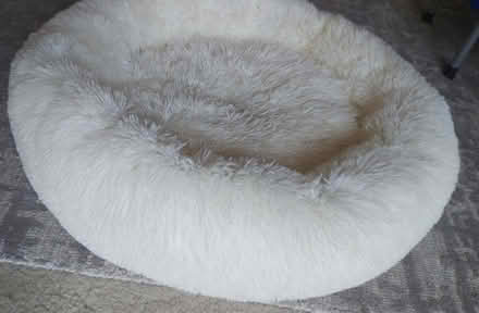 Photo of free Dog / Cat bed 75cm Round Fluffy (Kilsyth) #1