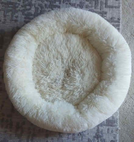 Photo of free Dog / Cat bed 75cm Round Fluffy (Kilsyth) #2