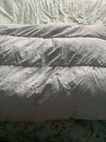 Photo of free Double duvet (Heysham LA3) #1