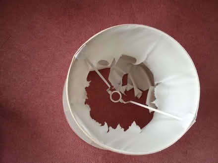 Photo of free Lampshade for standing lamp (Southport PR9) #1