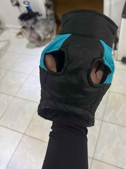 Photo of free Small pet coat (CB1) #2