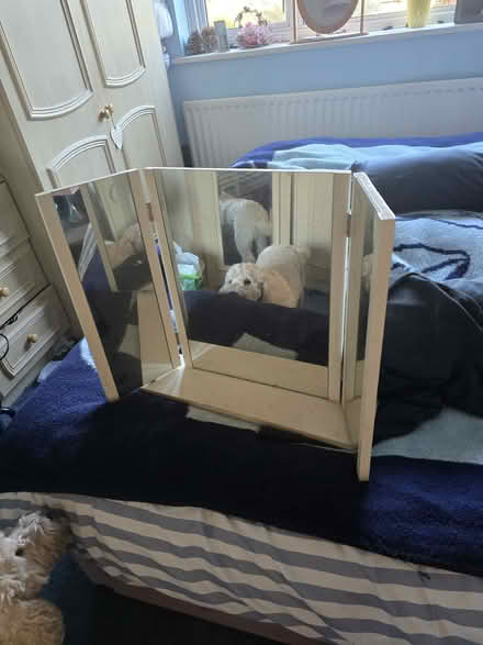 Photo of free Dressing table mirror (Maypole/Solihull lodge/B14) #1