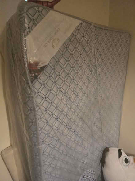 Photo of free Single mattress (L24) #1