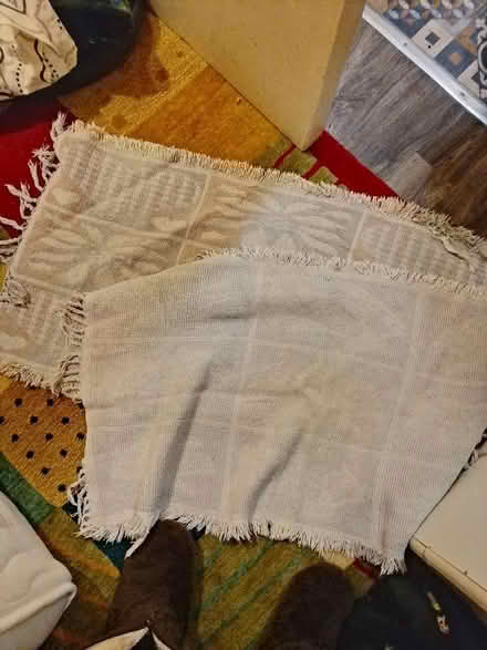 Photo of free Bath mats (St Leonards TN38) #1