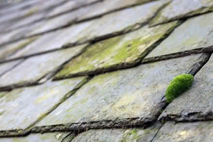 Photo of Flat Roof Slates/Tiles (Prestwood) #1
