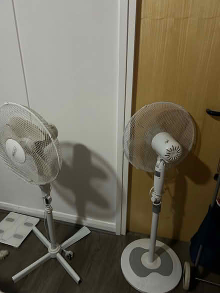 Photo of free Electric fans (B17) #1